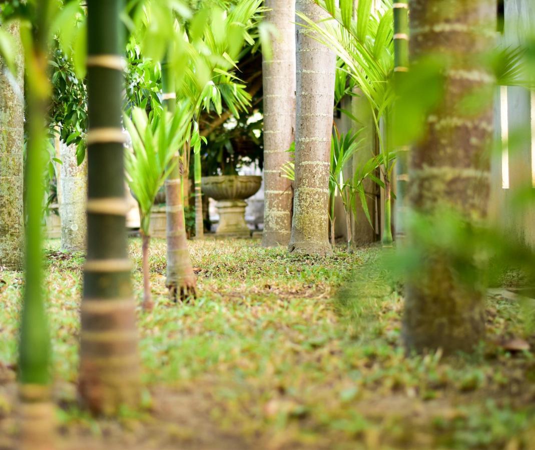 Chiang Mai Heritage House Dış mekan fotoğraf